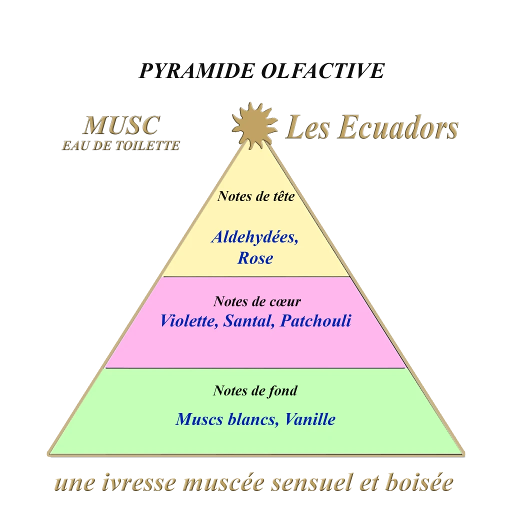 Les Ecuadors Musc geurpyramide Studio Aromatic