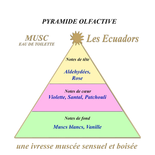 Les Ecuadors Musc geurpyramide Studio Aromatic